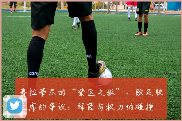 普拉蒂尼的“禁区之狐”，欧足联主席的争议，绿茵与权力的碰撞