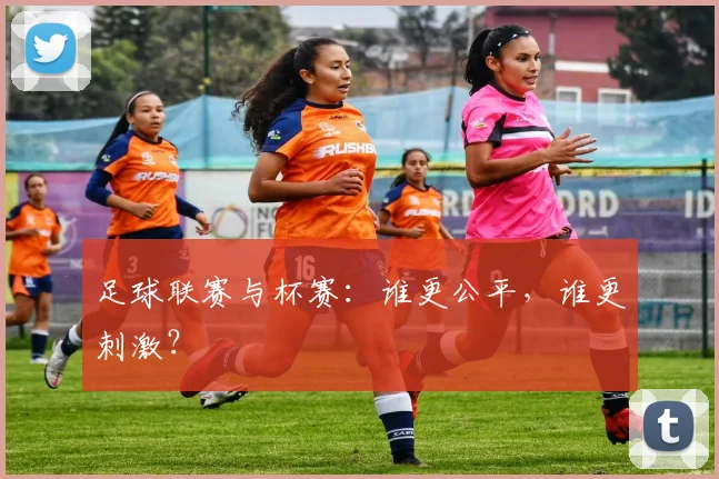 足球联赛与杯赛：谁更公平，谁更刺激？